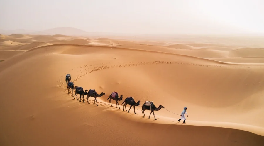 Camel riding in Morocco